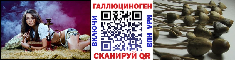 сколько стоит Вельск Галлюциногенные грибы Psilocybine cubensis